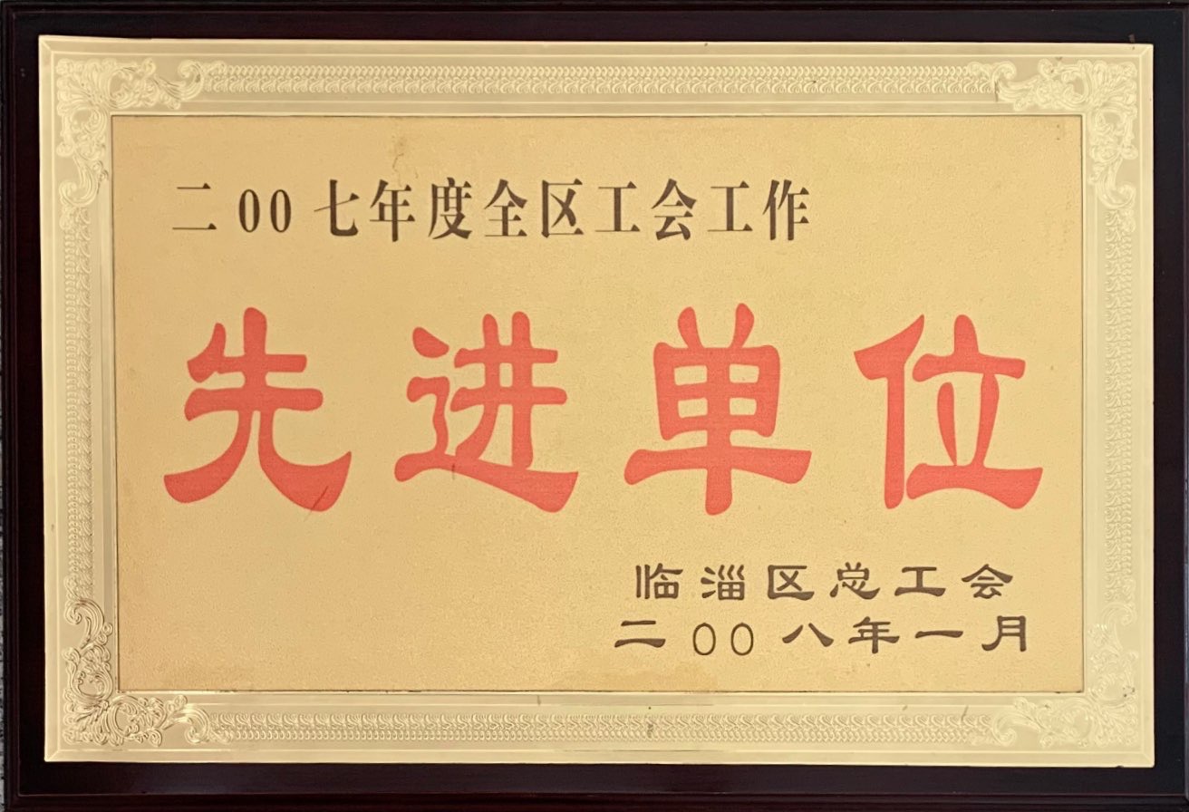 Exemplary organization for trade union work in the entire region in 2007