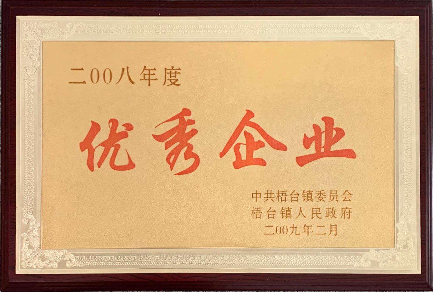 Outstanding Enterprise of 2008