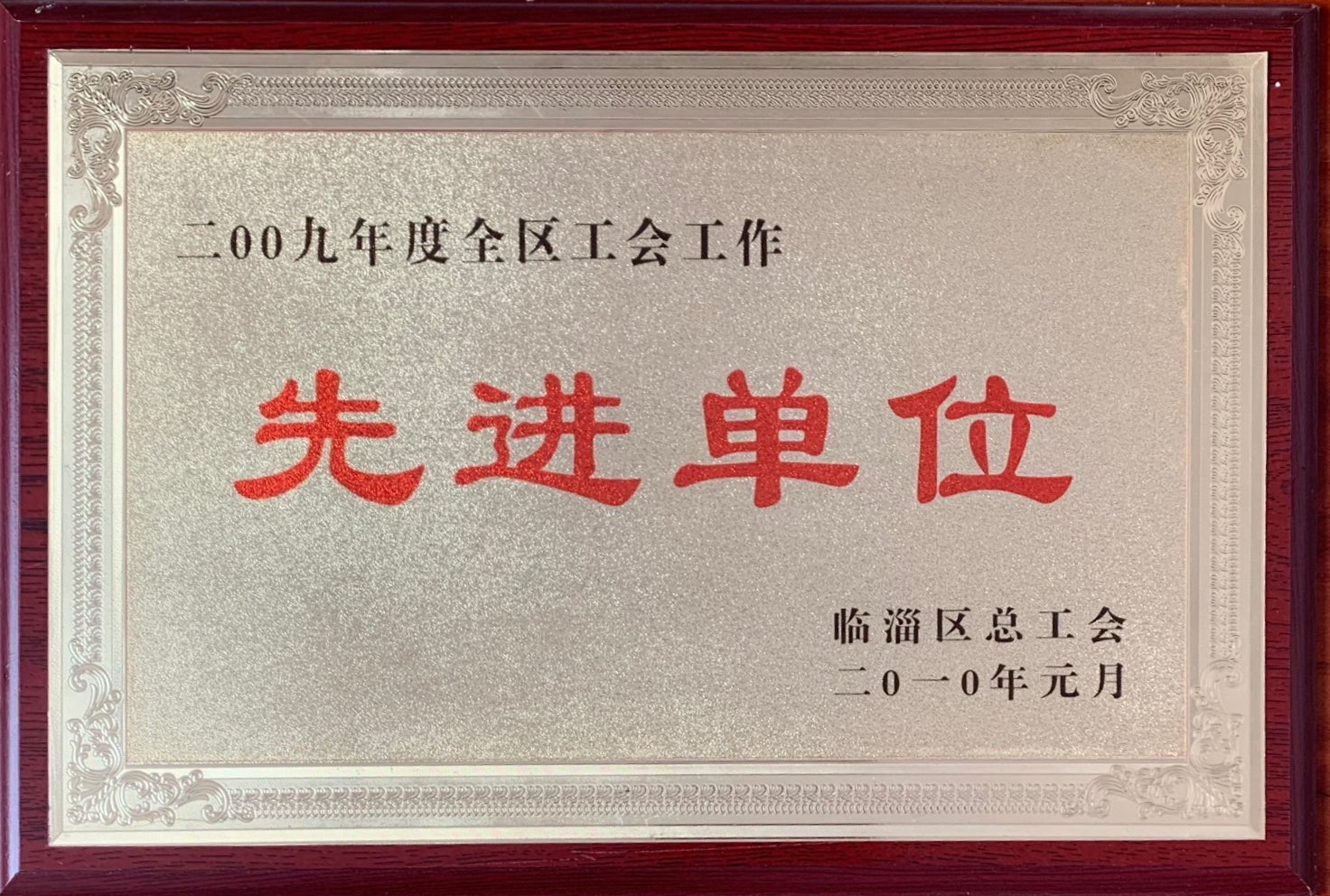 Exemplary organization for labor union work in the entire region in 2009