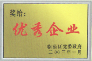 Outstanding Enterprise of 2003